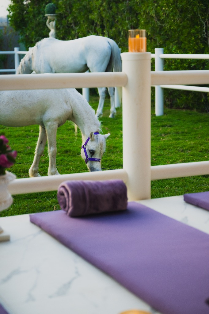 Yoga with Horses